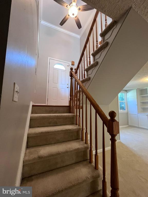 Building Photo - 6516 Cape Ct