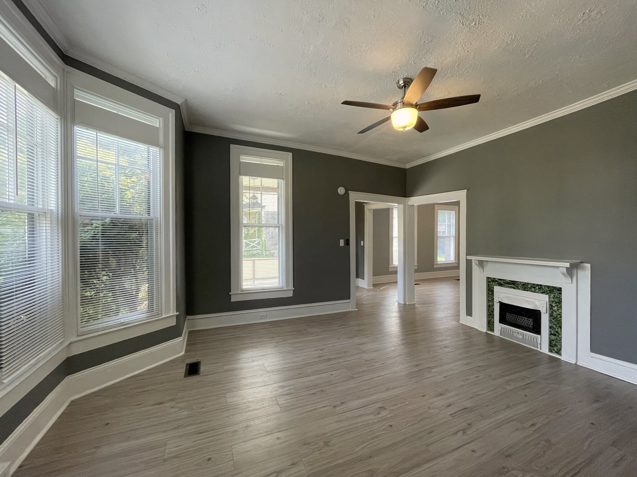 Living Room - 419 W Gray St