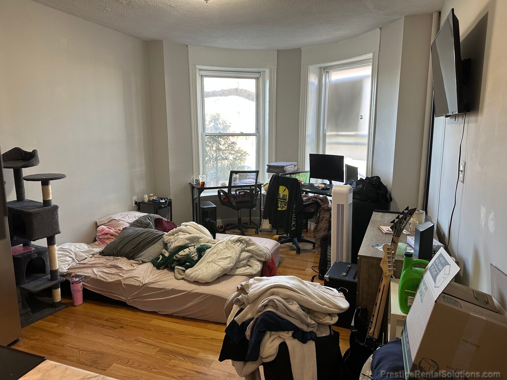 Building Photo - 1124 Commonwealth Ave