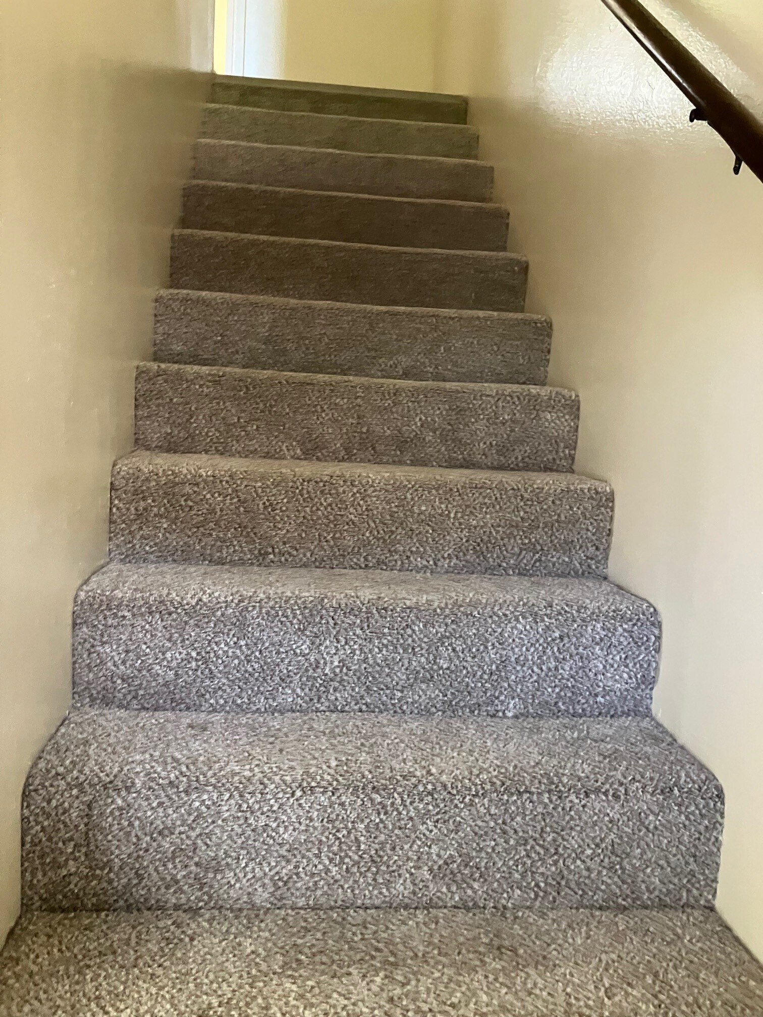 Stairs - 2514 14th Ave
