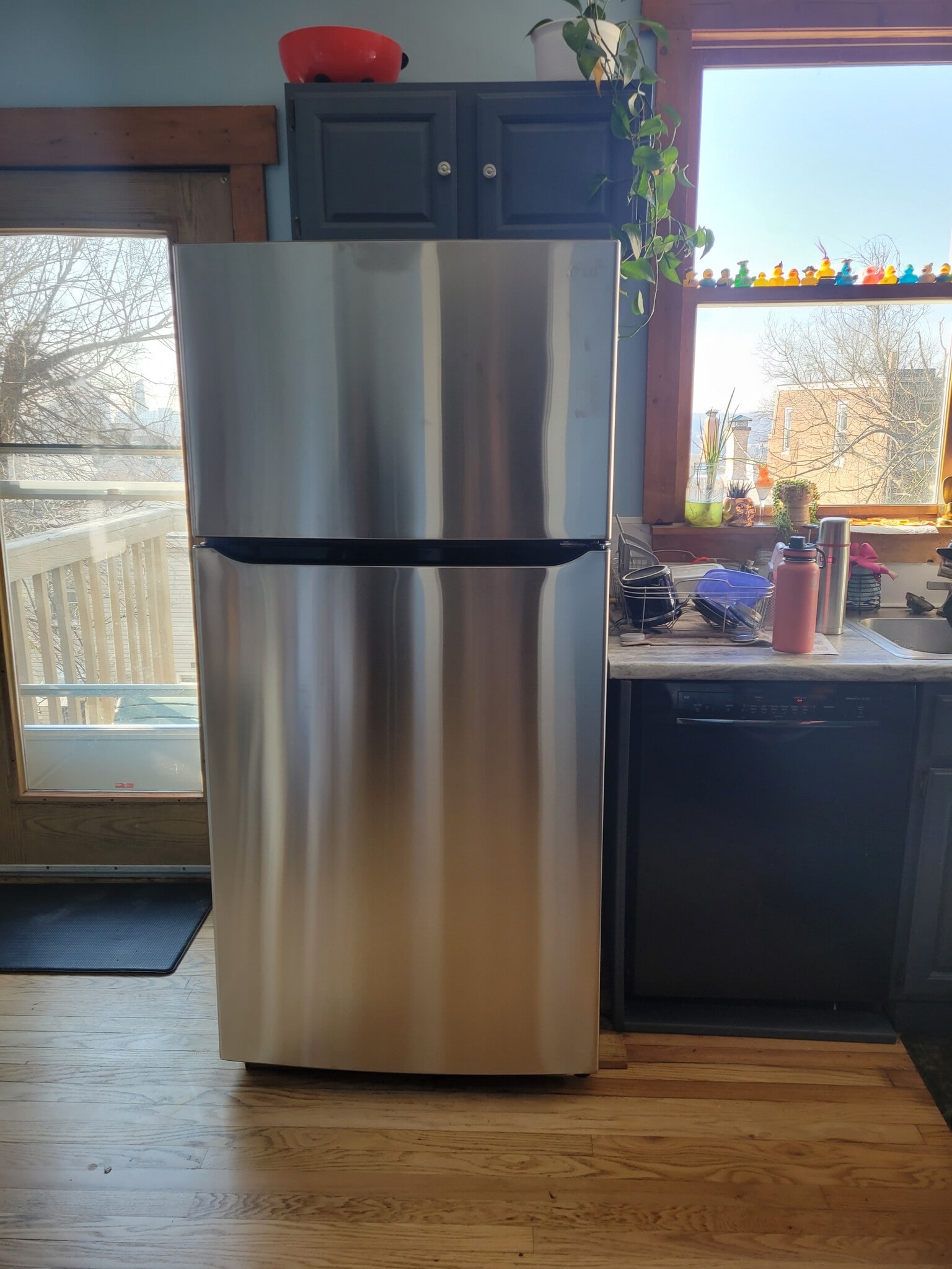 Fridge - 231 Emming St