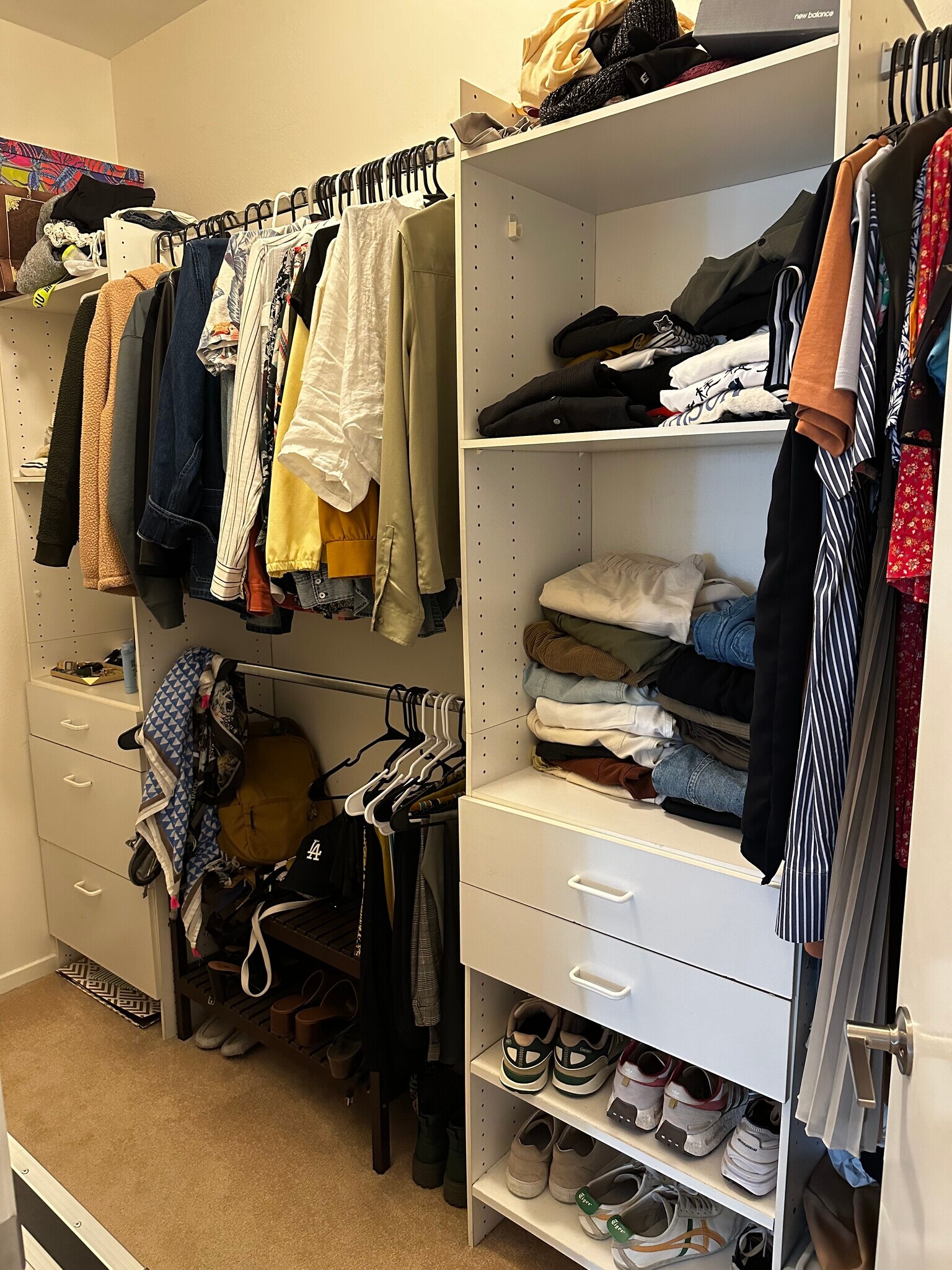 Walk in organizer closet - 10021 Tabor Street