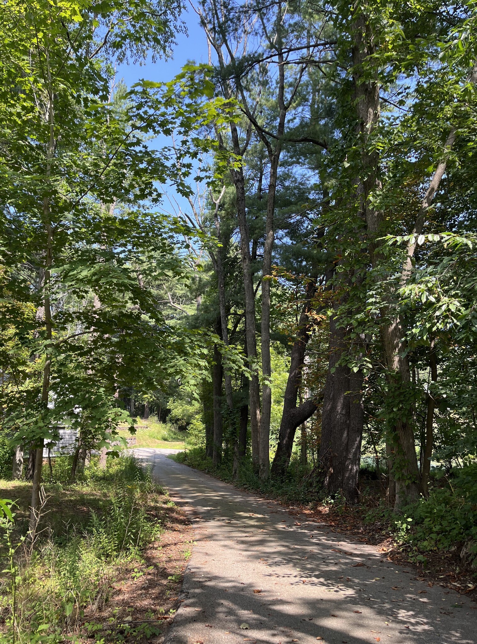 Private path to house - 175 Whipple Rd