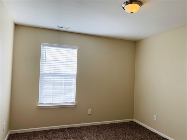 Building Photo - 3941 Tyler Bluff Ln