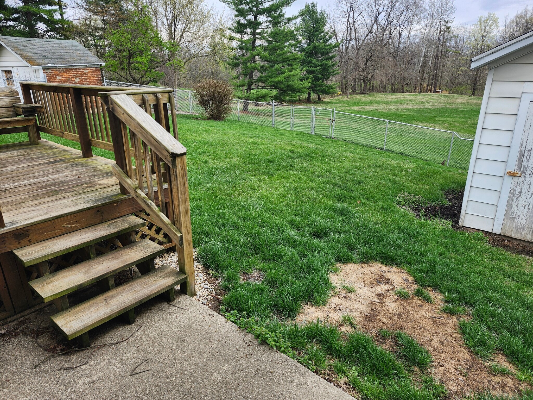 Fenced back yard with deck - 1073 Highview Dr