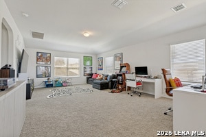 Building Photo - 3610 Copper Horse