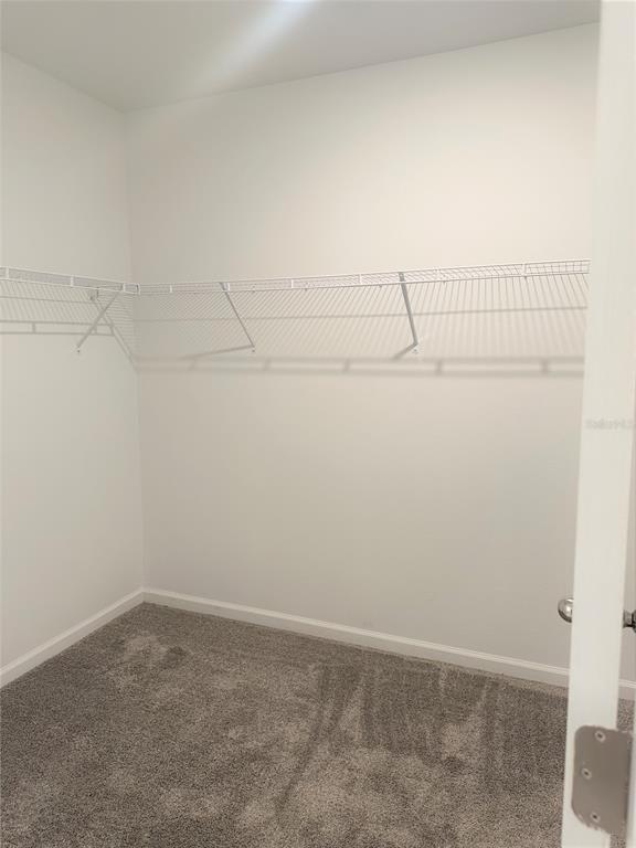 Building Photo - 355 Loch Ct