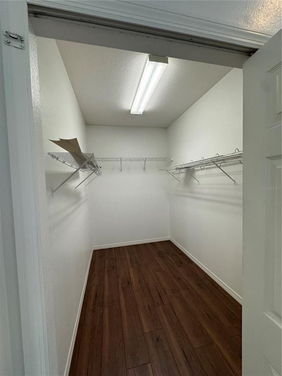 Building Photo - 4269 Heirloom Rose Pl