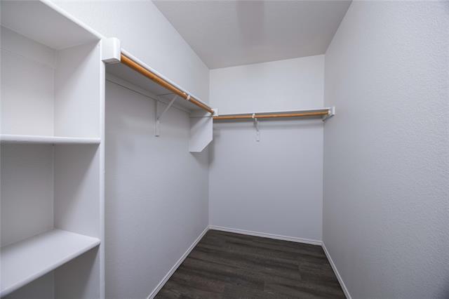 Building Photo - 11817 Summer Springs Dr