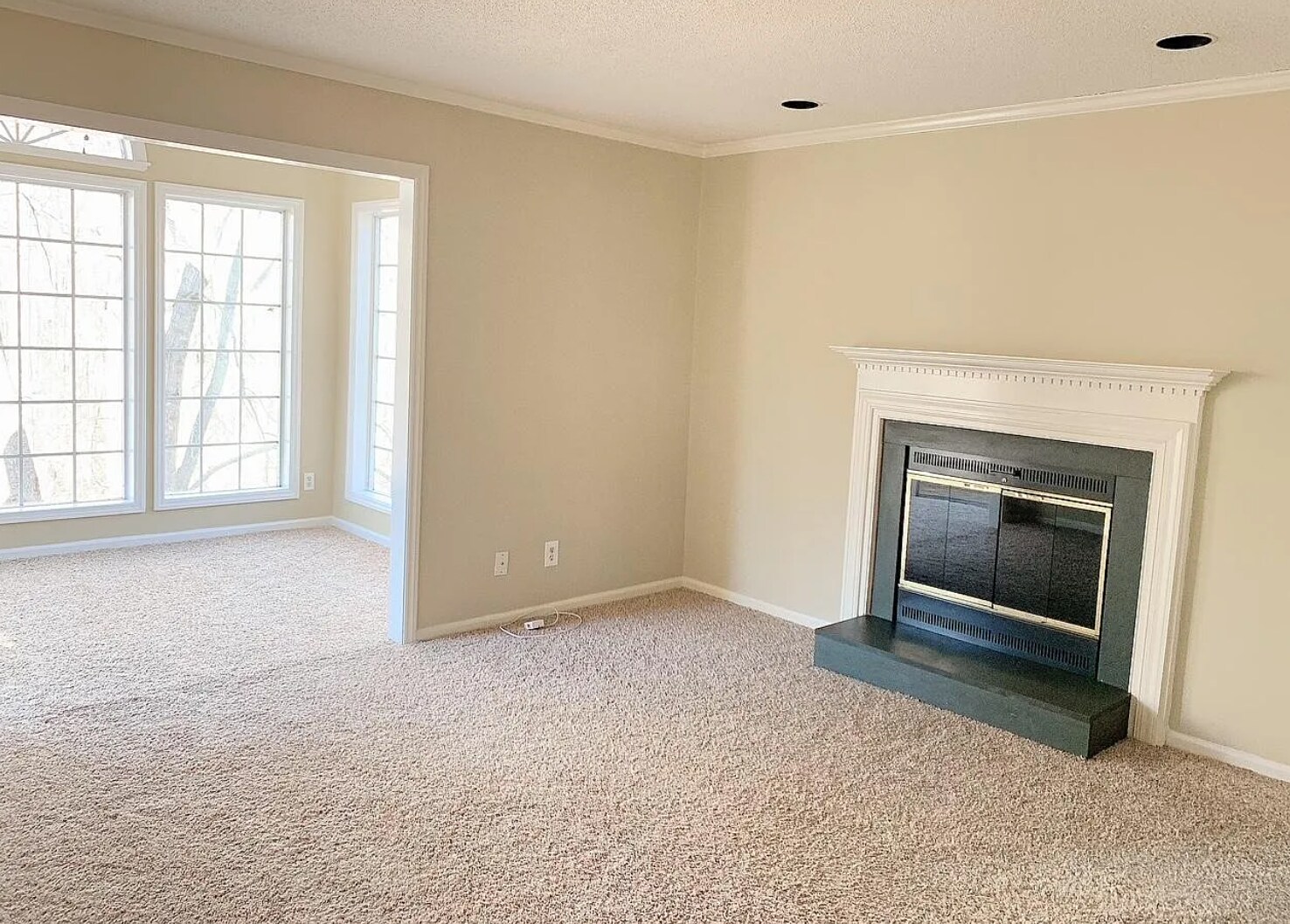 Living room - 648 Balfour Rd