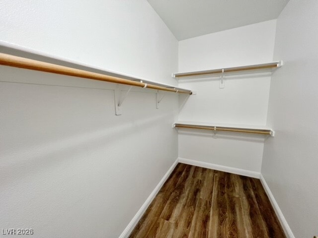 Building Photo - 101 N Buteo Woods Ln