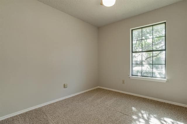 Building Photo - 1305 Chicota Dr