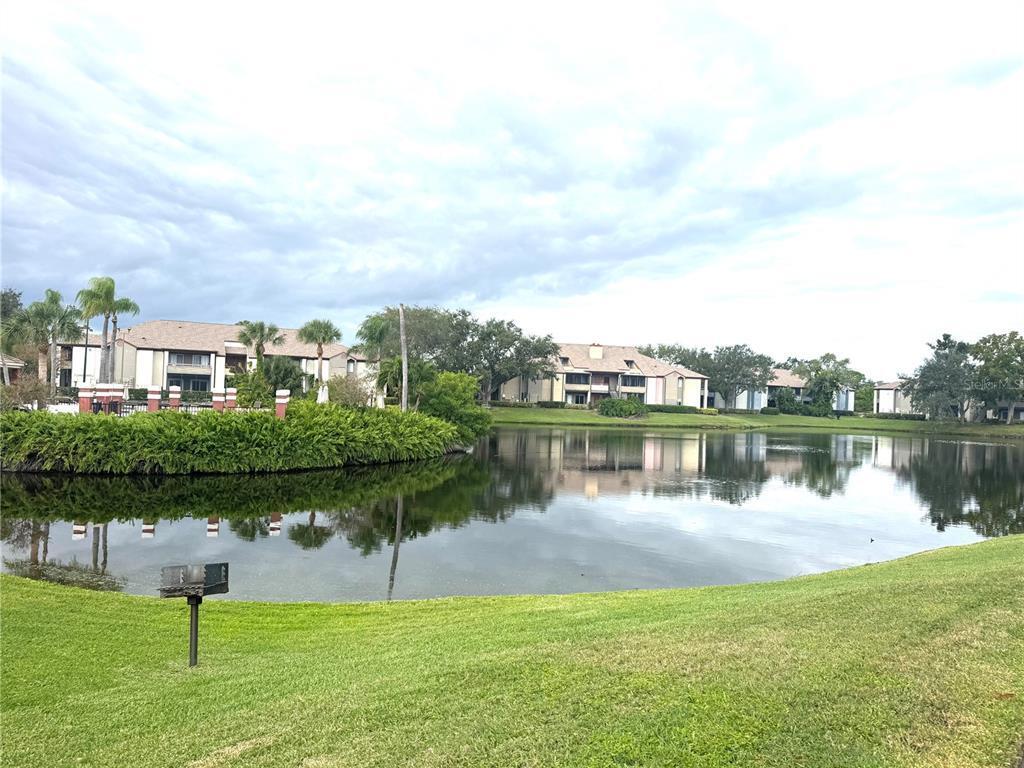 Building Photo - 10263 Gandy Blvd N