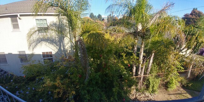 View from kitchen window - 418 E Freeland St
