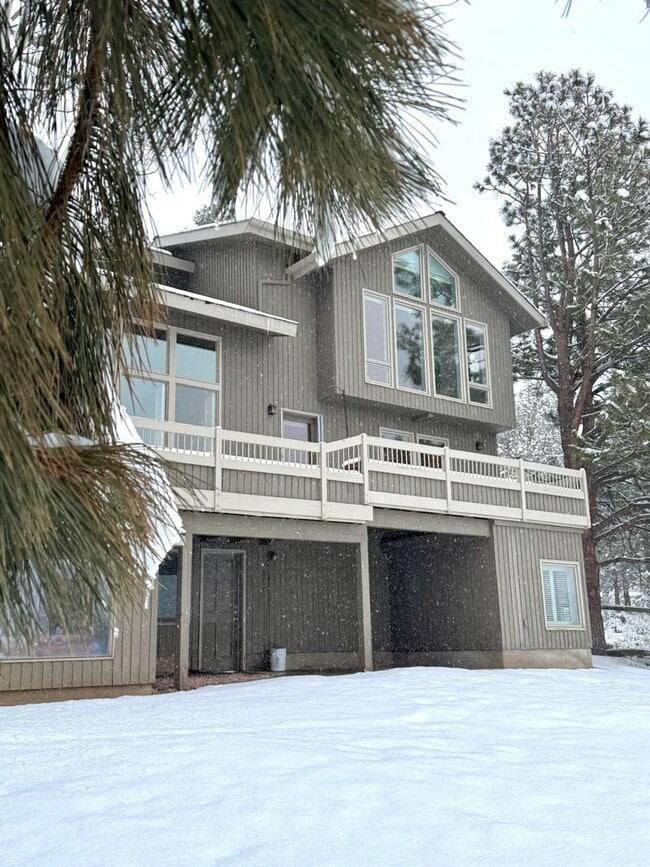 Primary Photo - HUGE Custom-Designed Dream Home bordering Indian Meadows Preserve!