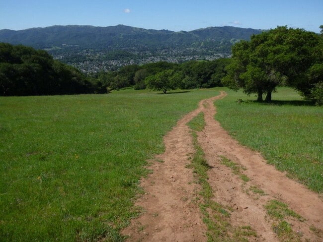 Building Photo - Charming 3-Bedroom, 2.5-Bathroom Condo in Novato