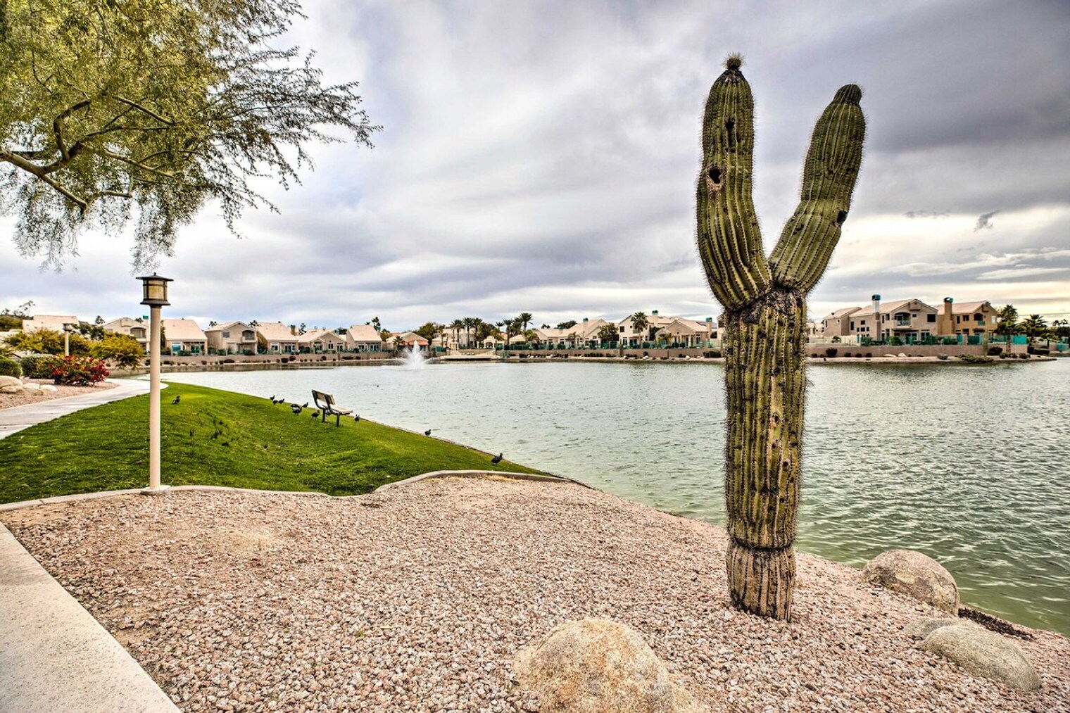 Building Photo - 16013 S Desert Foothills Pkwy