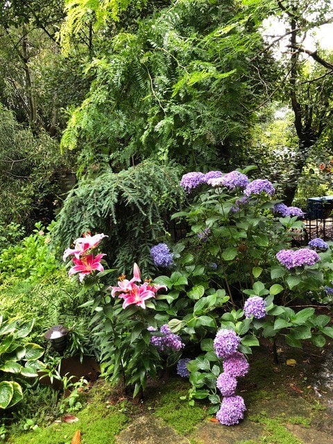 Floorplan - 3125 SE Van Waters St