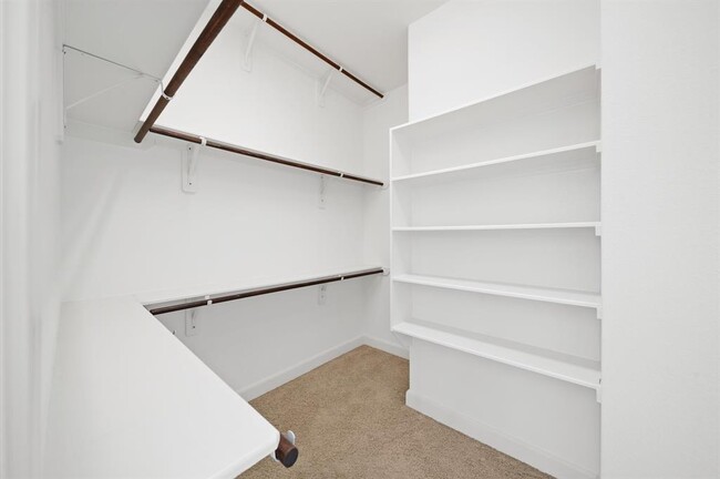 Building Photo - 14 Camplight Court