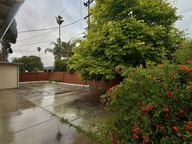 Building Photo - $3990 / 4 BR at a Prime Fremont Location!