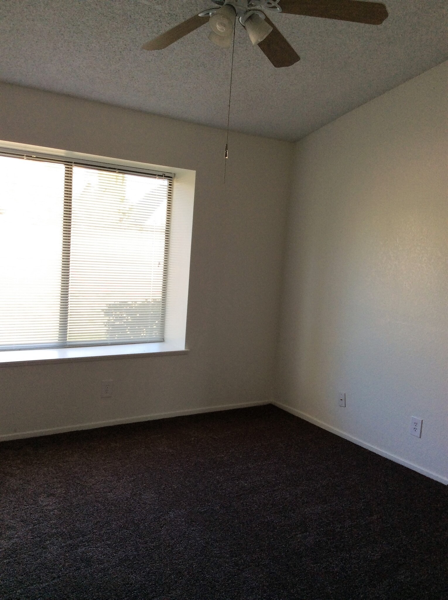 Building Photo - 1015 Angela Ct