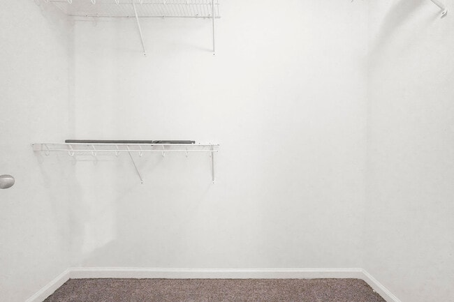 Building Photo - 3020 Maddie Ln