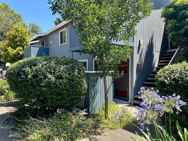 Primary Photo - Chic and Updated Studio in Prime Location