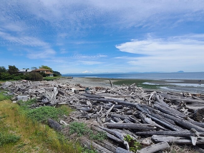 Building Photo - 1728 Edwards Dr