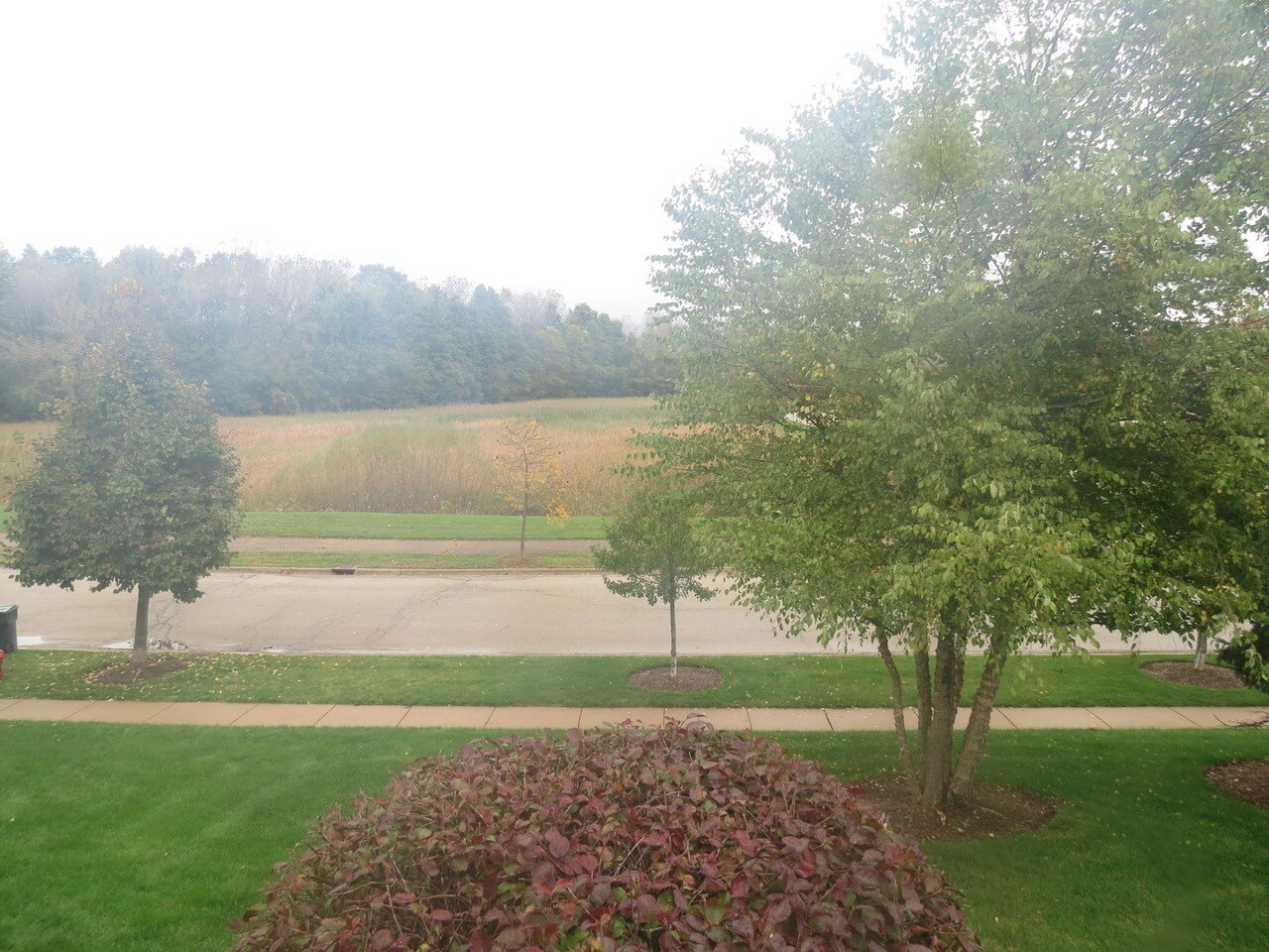 Building Photo - 465 Cary Woods Cir