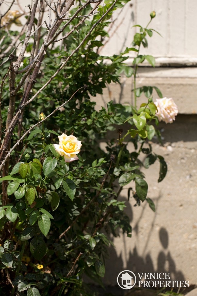 Building Photo - 103 W Norwich Ave