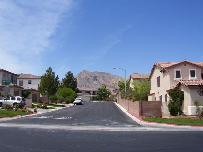 Building Photo - LACEBARK PINE