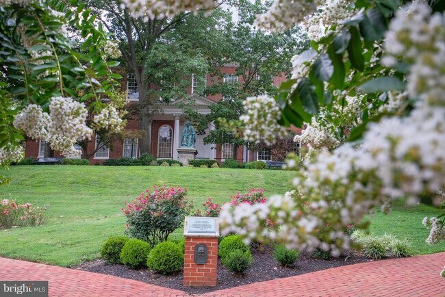 Building Photo - 149 Main St