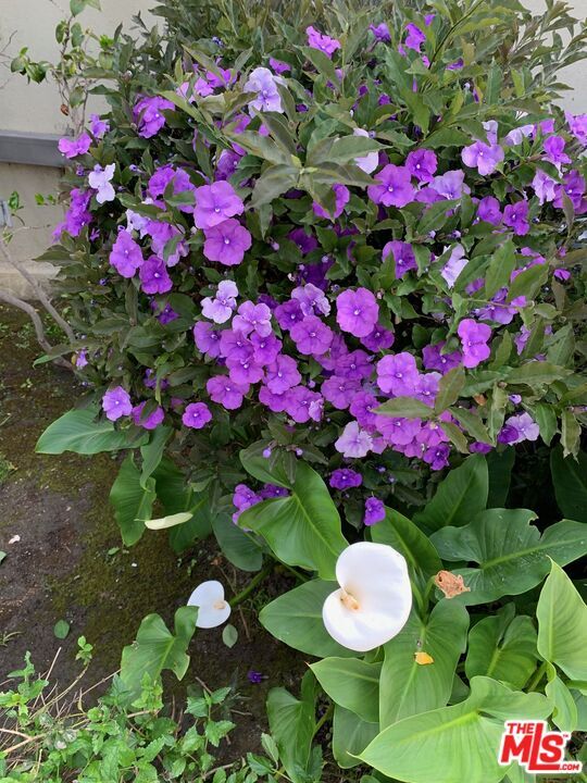 Building Photo - 8673 W Olympic Blvd