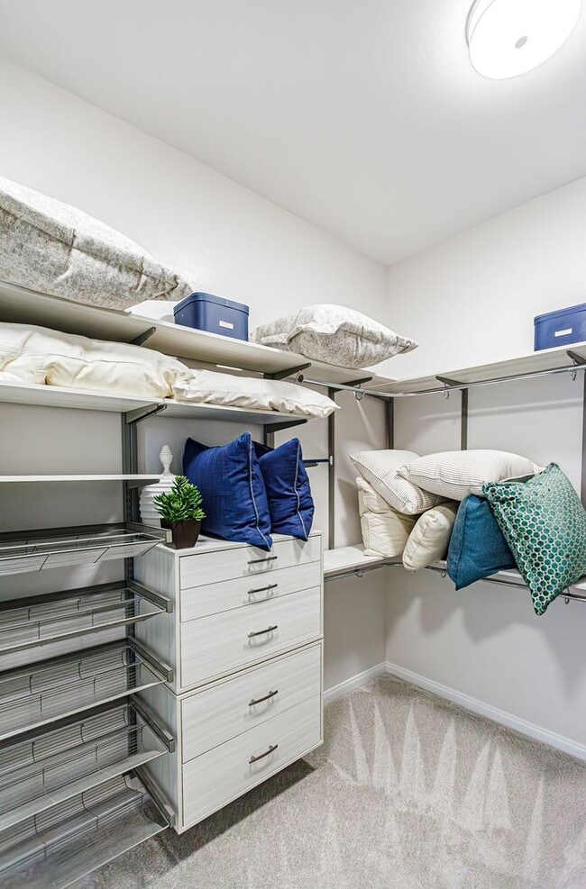 Building Photo - One Story Model Home