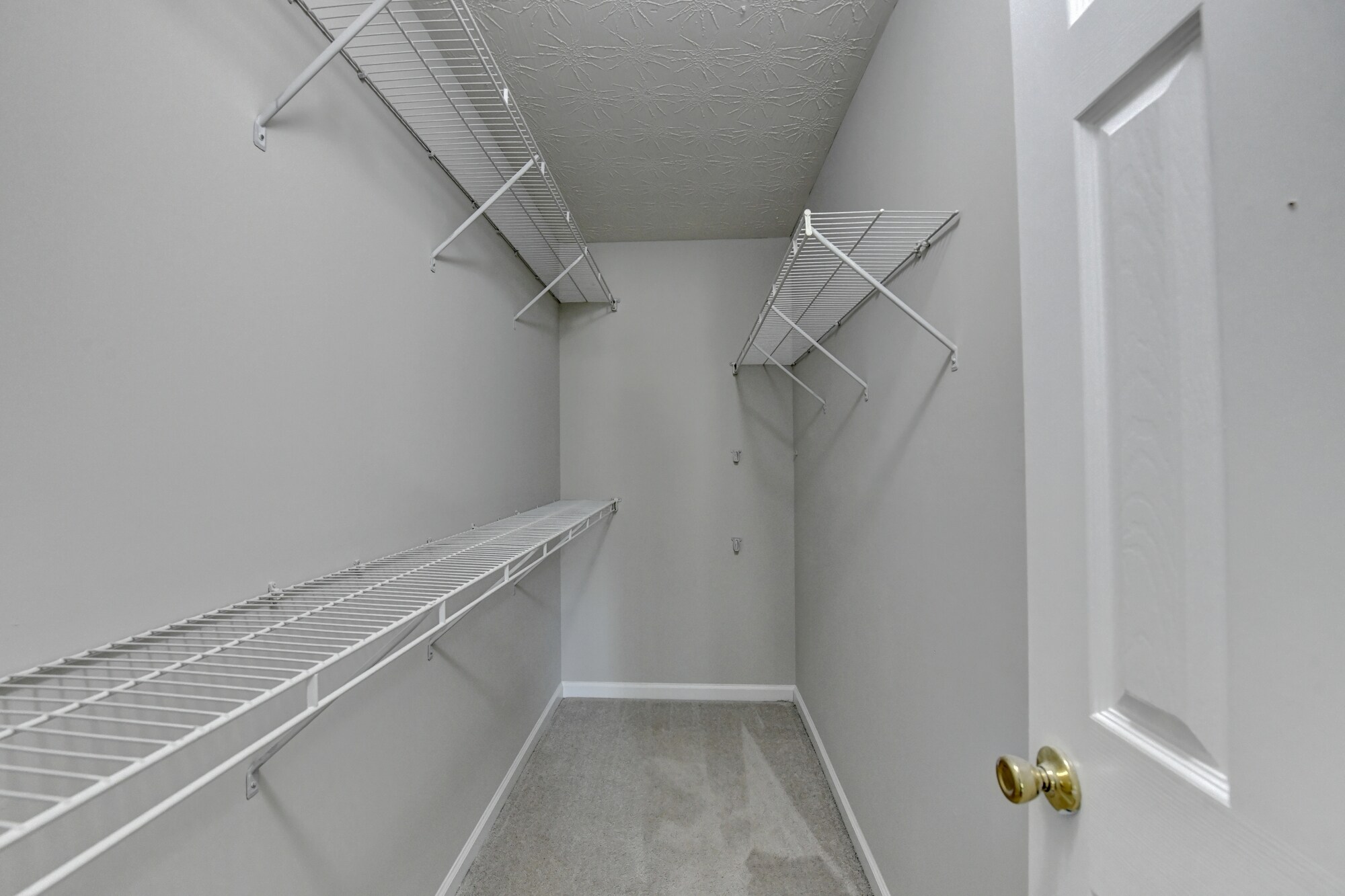 Building Photo - 240 Springbottom Ct
