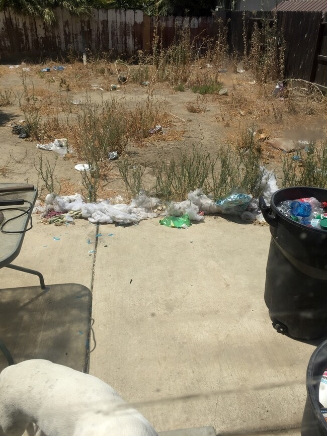 Building Photo - 237 N Santa Rita St