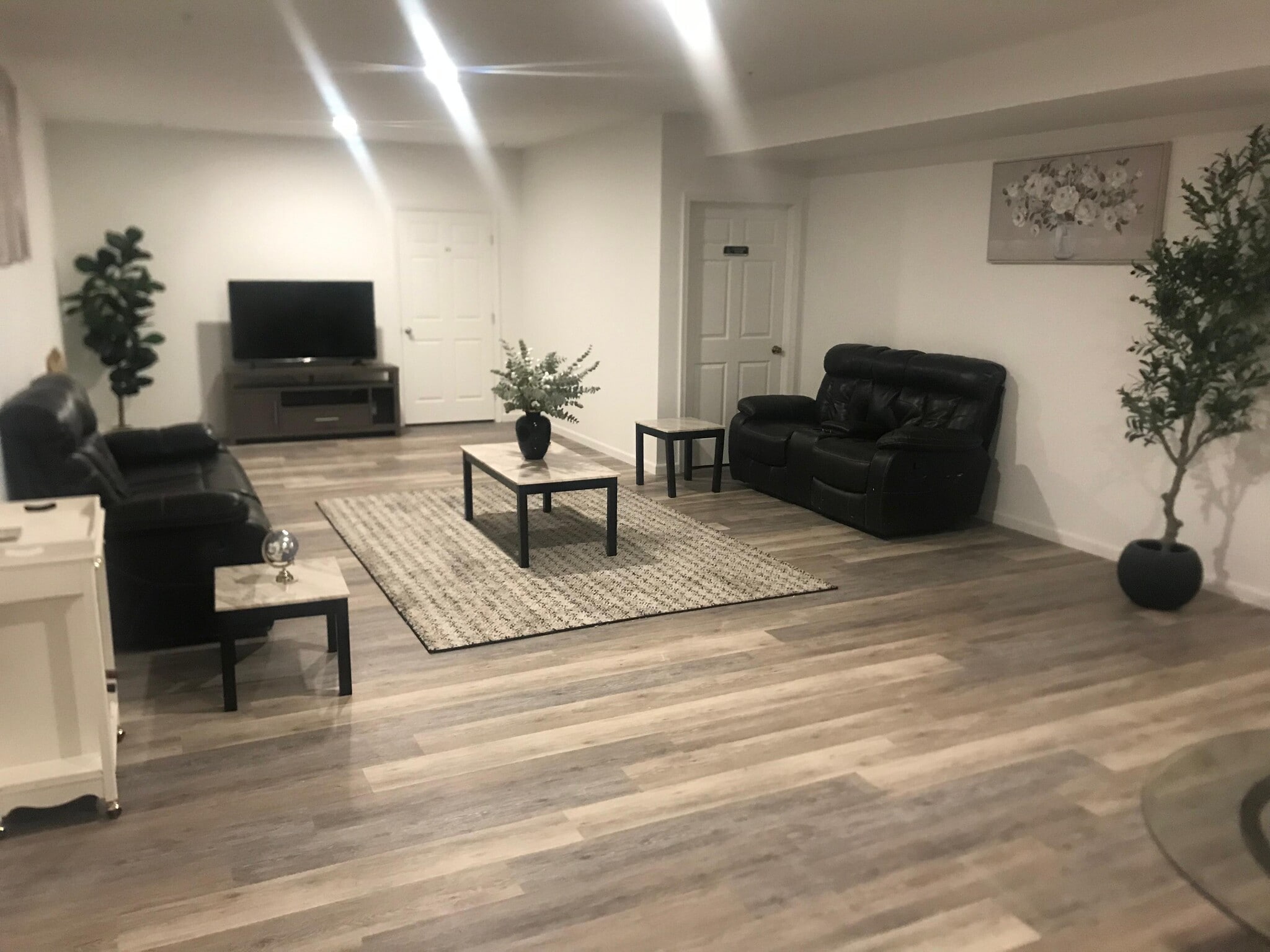 Living rolm - 2398 Tree Vista Ct