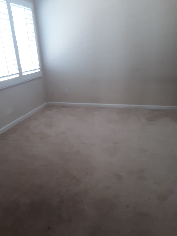 Building Photo - 4660 Palomino Way