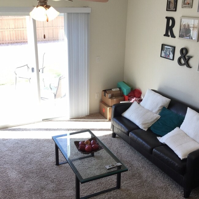 Building Photo - Beautiful 4-Bedroom Home South Fort Collins!