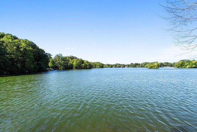 Building Photo - 24 S Bulfinch St