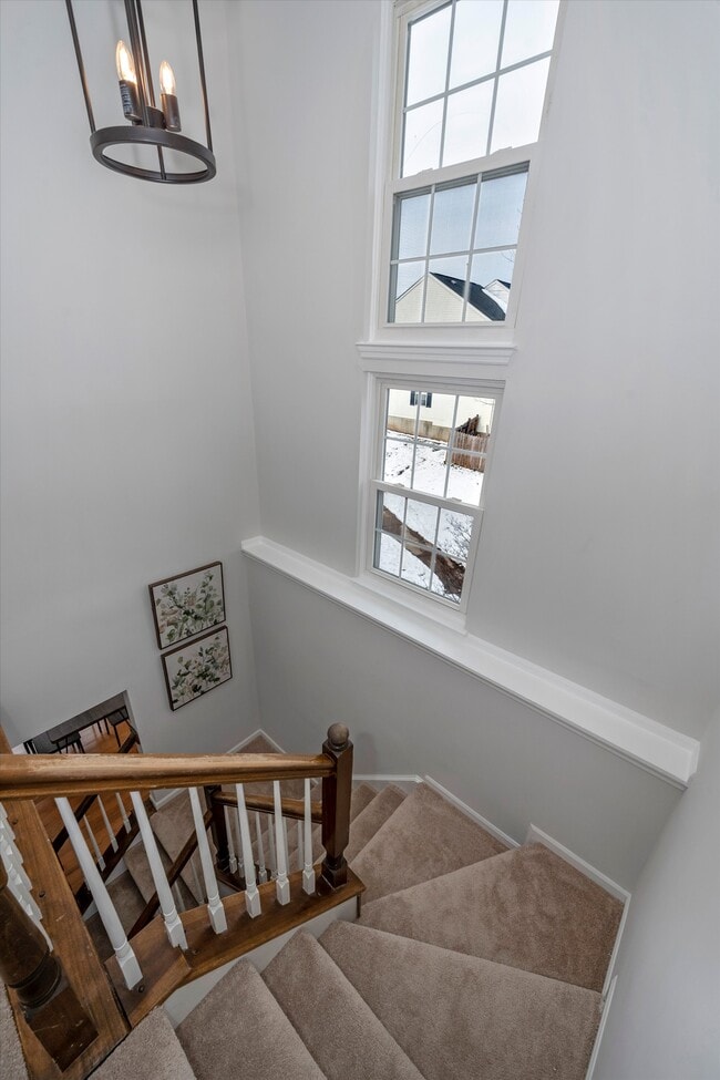Building Photo - 509 Sugarbush Cir