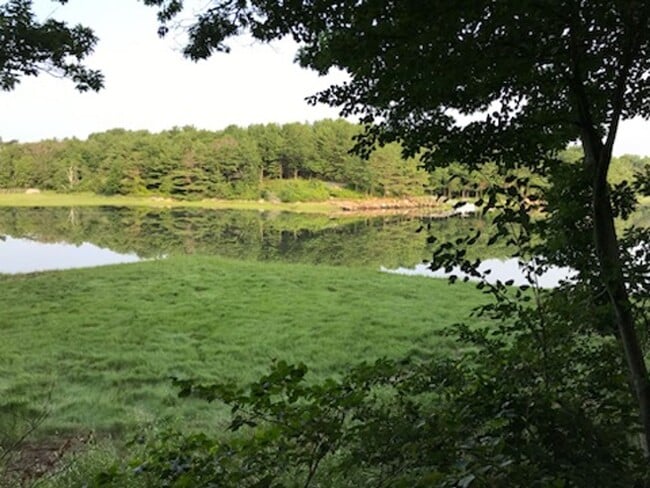 Building Photo - Year-Round Riverfront Home in Gloucester (Pet-Friendly)