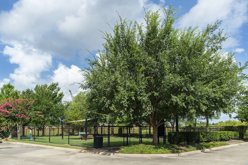 Grand Villas at Tuscan Lakes 1800 S Egret Bay Blvd League City TX