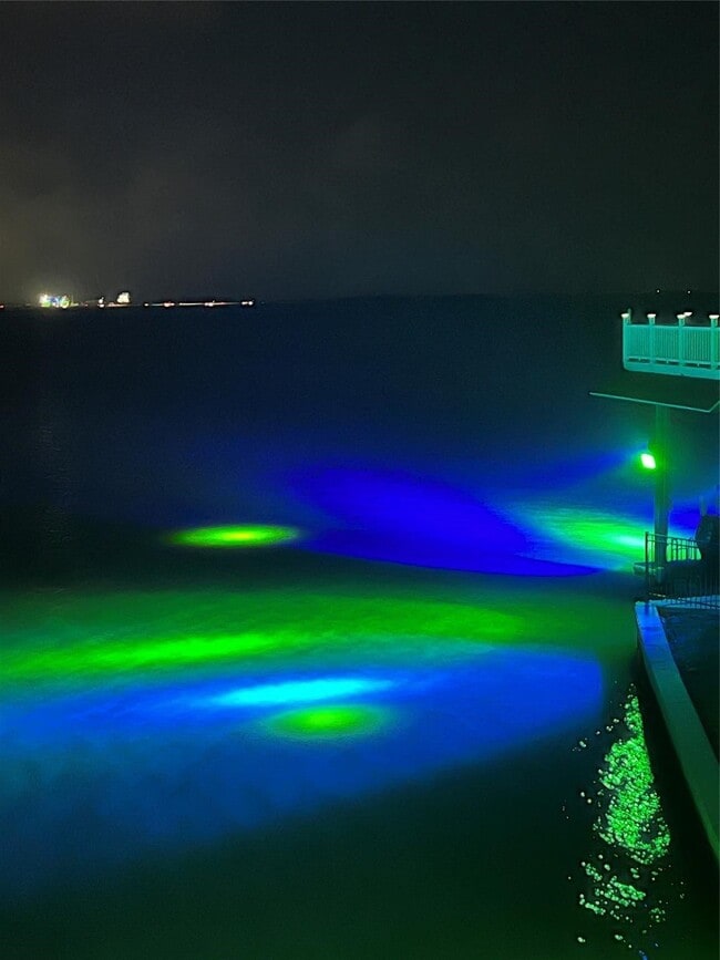 Building Photo - 1640 Windsong Way