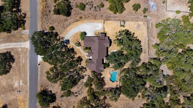 Building Photo - 485 Canna Lily Cir