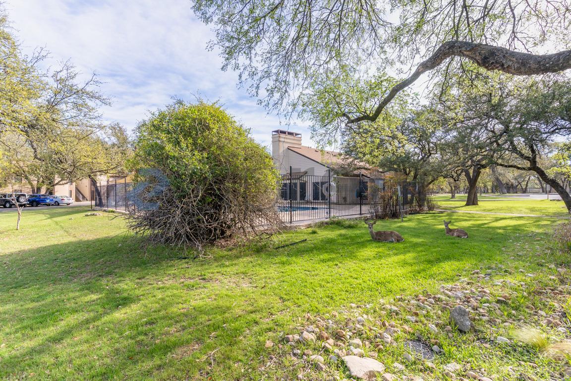 Building Photo - 4159 Steck Ave