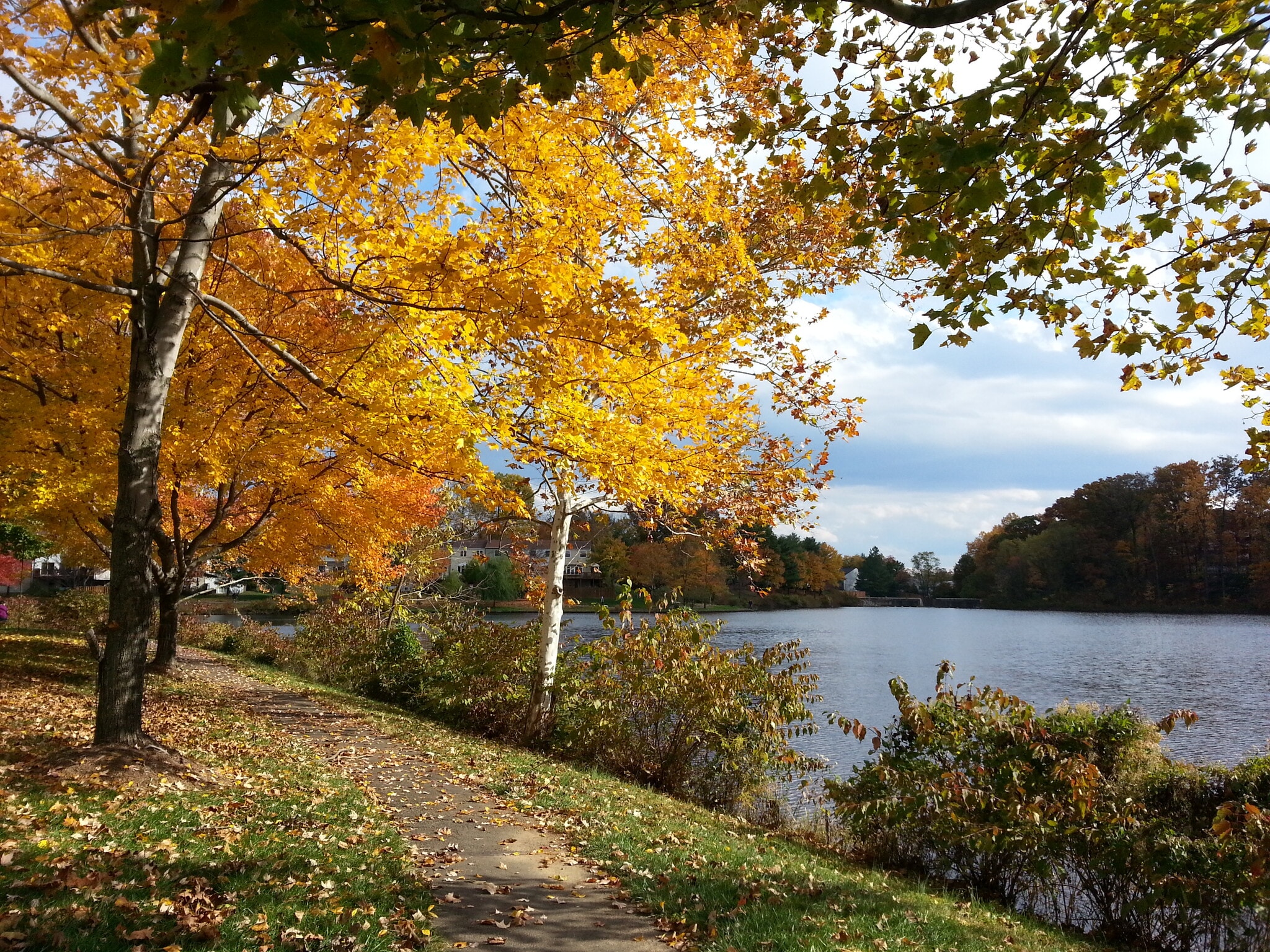 Lake View - 2920 Yarling Ct