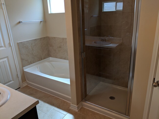 Master Bath Tub/Shower - 13029 Cadenza Crk