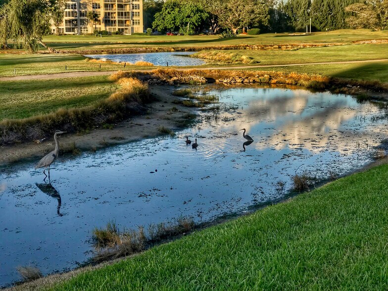 Building Photo - 3150 N Palm Aire Dr