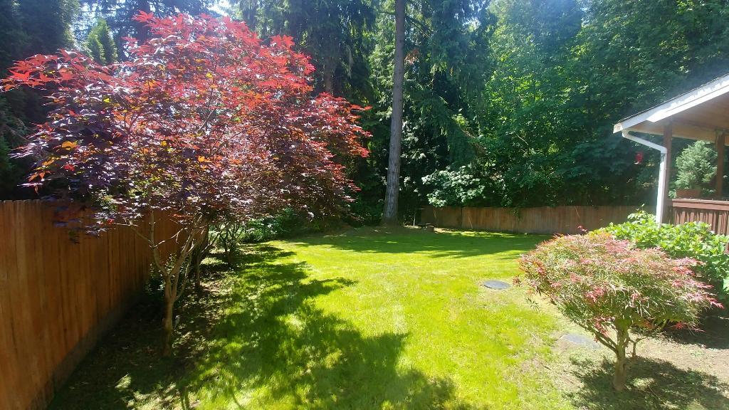 Fenced Back yard - 4811 Rural Rd SW